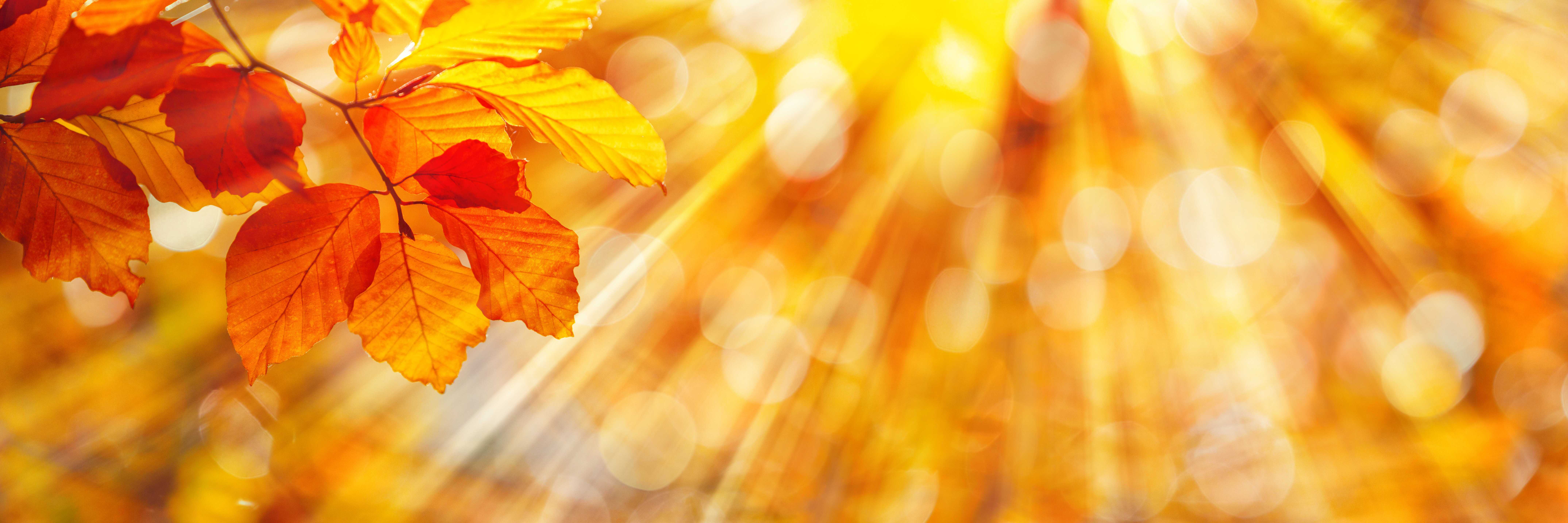October: Remain Steadfast in Prayer