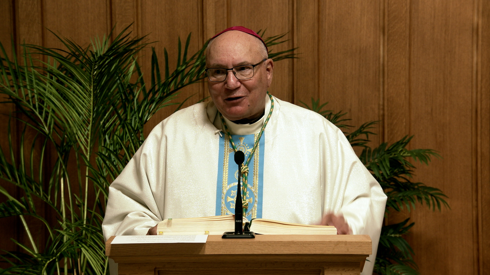 Homilies November 17 through November 23