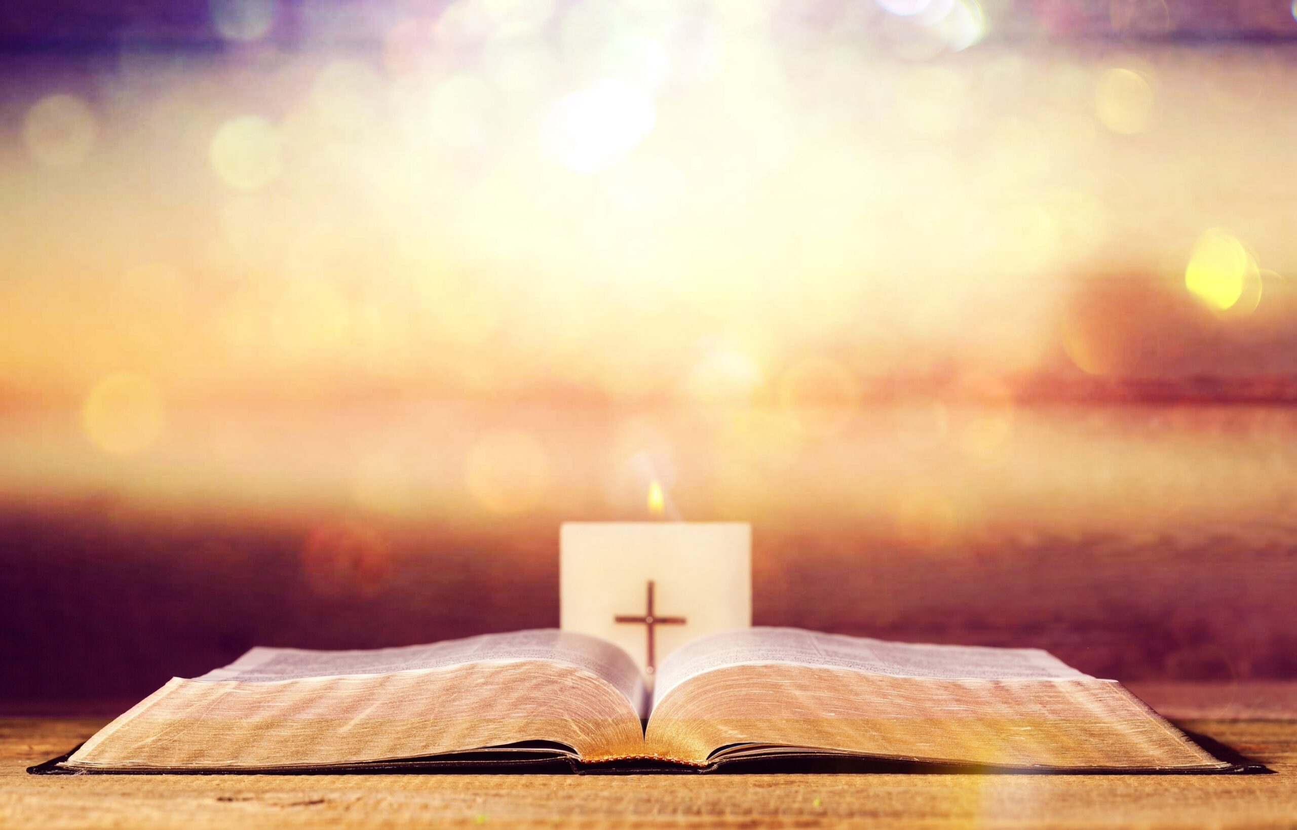 HOMILY: FATHER GUSTAVE INEZA AUGUST 1, 2026